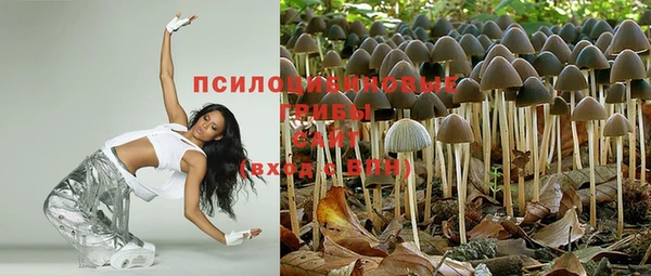 дмт Сафоново